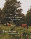 Drie favoriete planten voor de Paardenwei+

In 'Het grazen in het landschap plantenboek- wat paarden eten vind je er nog veel meer!

https://marshawijlhuizen.nl/mijn-boeken/

#wandelenmetpaarden
#natuurlijkepaardenvoeding
#plantenwandeling
#paardenplanten