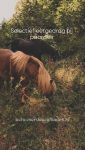 Selectief eetgedrag bij paarden

Instinct, aangeleerd of doen ze maar wat op goed geluk?

In 'Waarom paarden planten eten - Natuurlijke voeding voor paarden'
word je wegwijs gemaakt in de wereld van paarden en planten!

Verschijnt najaar 2026!

www.marshawijlhuizen.nl

#wandelenmetpaarden
#natuurlijkepaardenvoeding
#plantenwandeling
#paardenplanten