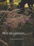 Wat als planten..
een totaal pakket voor onze paarden vormen?!

Dit najaar verschijnt
'Waarom paarden planten eten'
en ontdek hoe de wereld van planten en paarden bij elkaar horen.

www.marshawijlhuizen.nl

#wandelenmetpaarden
#natuurlijkepaardenvoeding
#plantenwandeling
#paardenplanten