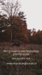 Het grazen in het landschap plantenboek- Wat paarden eten

Bestel nu vóór de decemberdrukte dit inspirerende cadeau voor de bewuste paardeneigenaar!

https://marshawijlhuizen.nl/mijn-boeken/

#walkingwithhorses
#walkingwithfreehorses
#nonriddenequine
#naturelhorsefeeding
#wandelenmetpaarden
#wandelenmetvrijepaarden
#natuurlijkepaardenvoeding
#natuurlijkpaardenhouden
#paardnatuurlijk #paardenkruiden
#intothewoods #kruidenwandeling
#treehay #paardenplanten
#trust #vertrouwen #vertrauen
#irishcob #shetlandpony
#respectfulequinephotography

www.marshawijlhuizen.nl