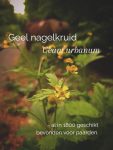 Steeds weer andere planten in bloei

Bij de planten die Noah en Molly eten volgen de bloeiperiodes elkaar op. Zo staat er altijd wat in bloei. 

Ook deze planten worden uitgebreid besproken in 'Het grazen in het landschap plantenboek- Wat paarden eten'.

Meer informatie: https://marshawijlhuizen.nl/mijn-boeken/

#wandelenmetpaarden
#natuurlijkepaardenvoeding
#plantenwandeling
#paardenplanten