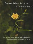 Der Übergang vom Frühling zum Sommer

Immer mehr Pflanzen blühen und bieten den Pferden eine reichhaltige Auswahl. Möchten Sie mehr über diese und 100 weitere Pflanzen erfahren? Dann bestellen Sie ' Wandern und grasen; mit Pferden unterwegs in der Landschaft- Wildpflanzen für Pferde ' auf meiner Website.

https://marshawijlhuizen.nl/meine-bucher-deutsch/

#SpaziergangmitPferden
#NatürlichePferdefütterung
#Pflanzenwanderung
#PflanzenfürPferde