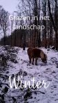Winter

Ook in de winter kunnen de paarden van alles in het bos vinden. Lees over al deze planten in: "Het grazen in het landschap plantenboek- Wat paarden eten."

Het boek verschijnt ook binnenkort in het Duits!

Winter

Auch im Winter finden Pferde im Wald essbare Pflanzen. Mehr über all diese Pflanzen erfahren Sie in diesem Buch.

Demnächst auch auf Deutsch erhältlich!

www.marshawijlhuizen.nl